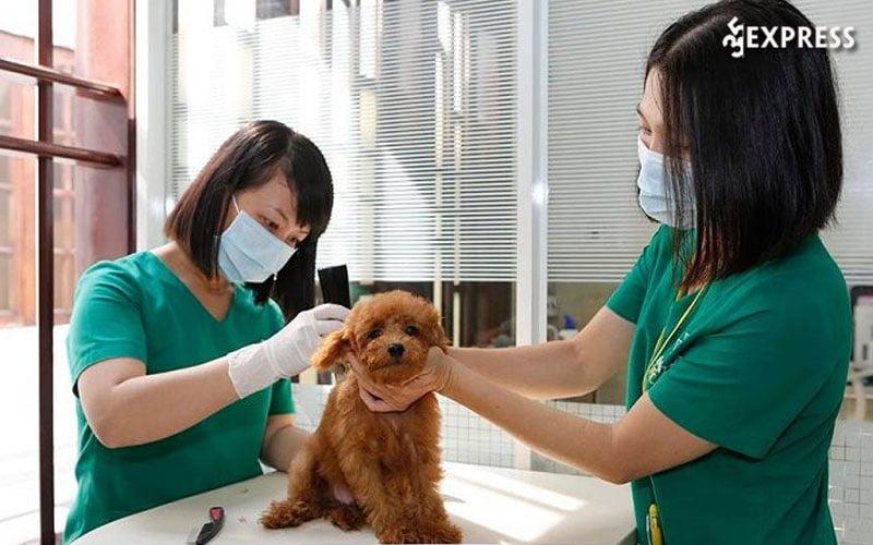 Bệnh viện thú y Family Vet tại TP.HCM