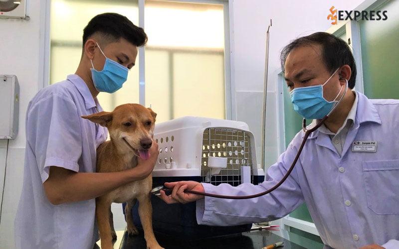 Bệnh viện thú y Saigonpet tại TP.HCM