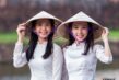 Biểu đồ phân bố các họ phổ biến tại Việt Nam
