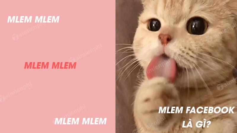 Hình ảnh minh họa ý nghĩa của từ Mlem Mlem