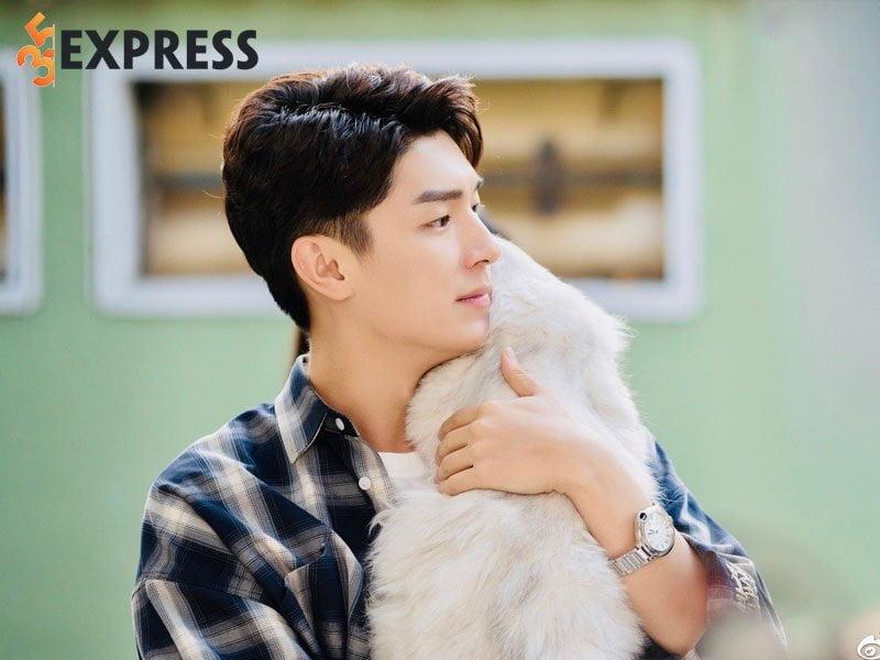 Sự nghiệp diễn xuất của Dương Húc Văn